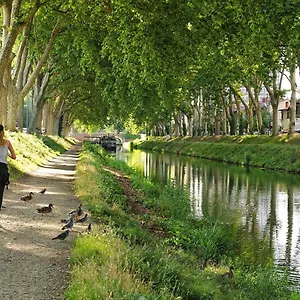 Bayard - Centre-ville - Gare - Confortable Apartment Toulouse